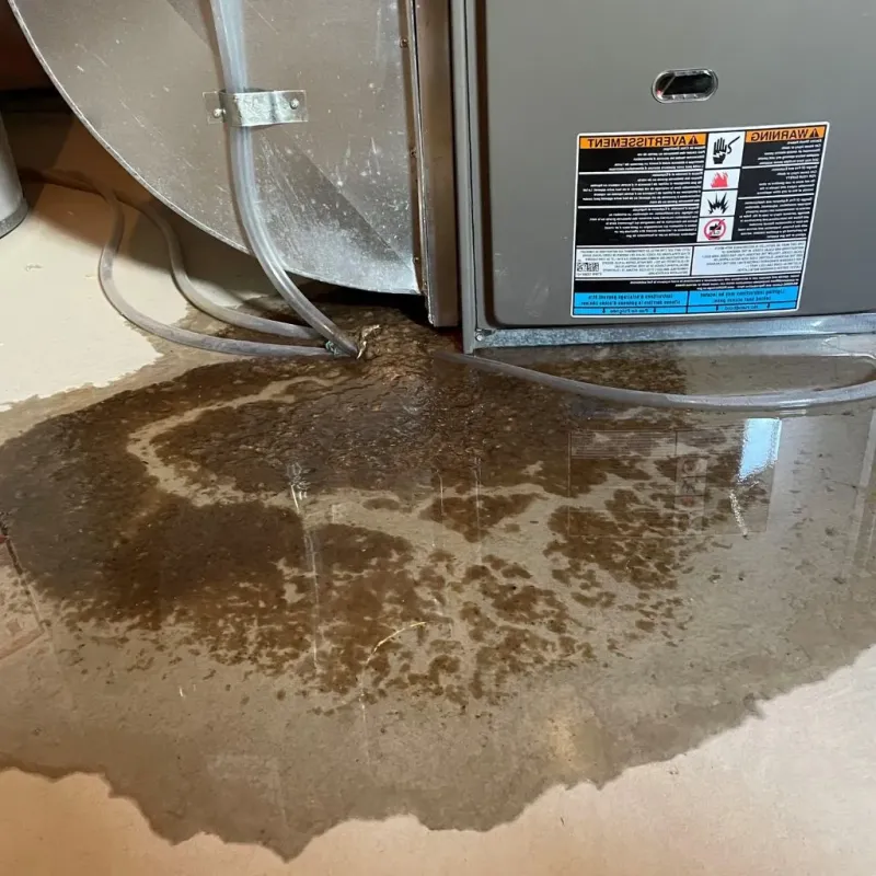 Pipe Burst and Leak Restoration in Dalton, OH