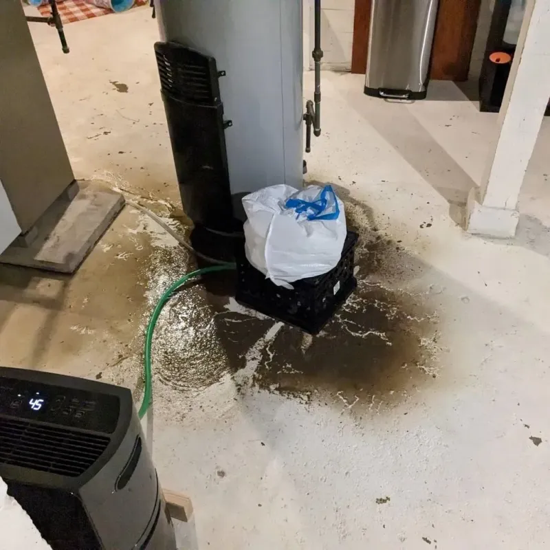 Sewage Backup Cleanup Service in Dalton, OH